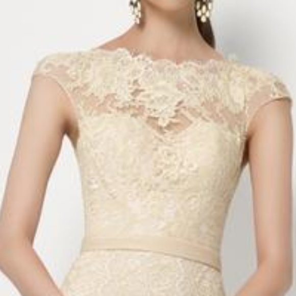 BLUSH Champagne Lace Rustic Wedding Dress, Cap Sleeve, Boat Neck Elegant Mother - Picture 5 of 15